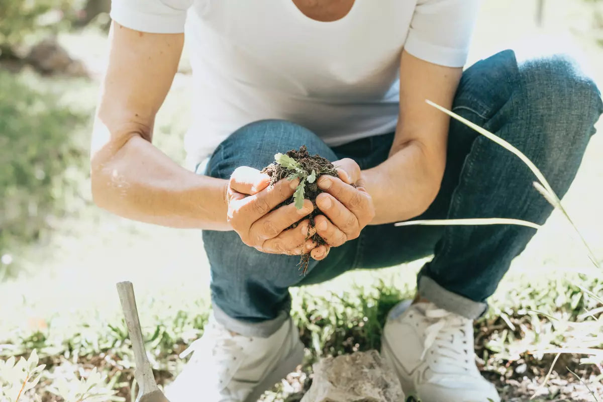 reforestation person crouches down and cups soil in their hands